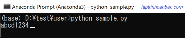 hàm input() trong Python